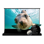 VIVIDSTORM Electric Motorized UST Projector Screen, Tensioned Wrinkle-Free Surface, 4K/8K HDR Ready, Easy Setup,VSDSTUST84HP