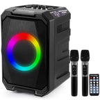 Karaoke Machine for Adults with 2 Wireless Microphones, 800W Peak Speaker